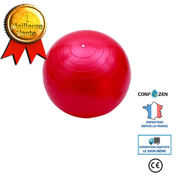55cm Exercice Fitness GYM Smooth Yoga Ball RD